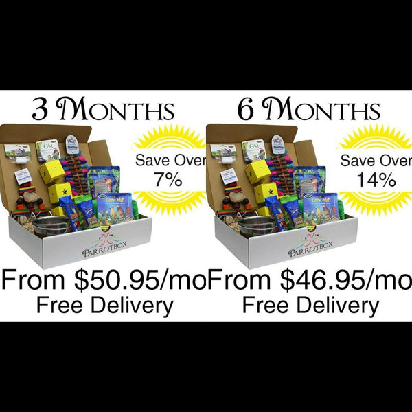 Monthly Subscription Boxes for Birds