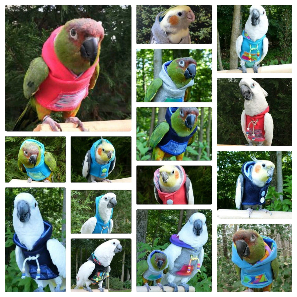 Stylish and Snuggly: Why Avian Fashions Hoodies are a Hit With Pet Birds