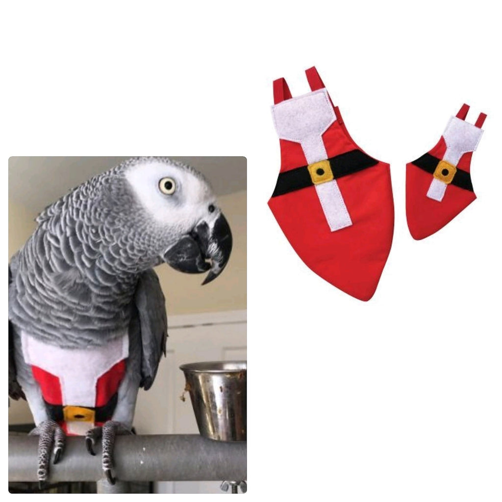 Christmas is Coming!!!