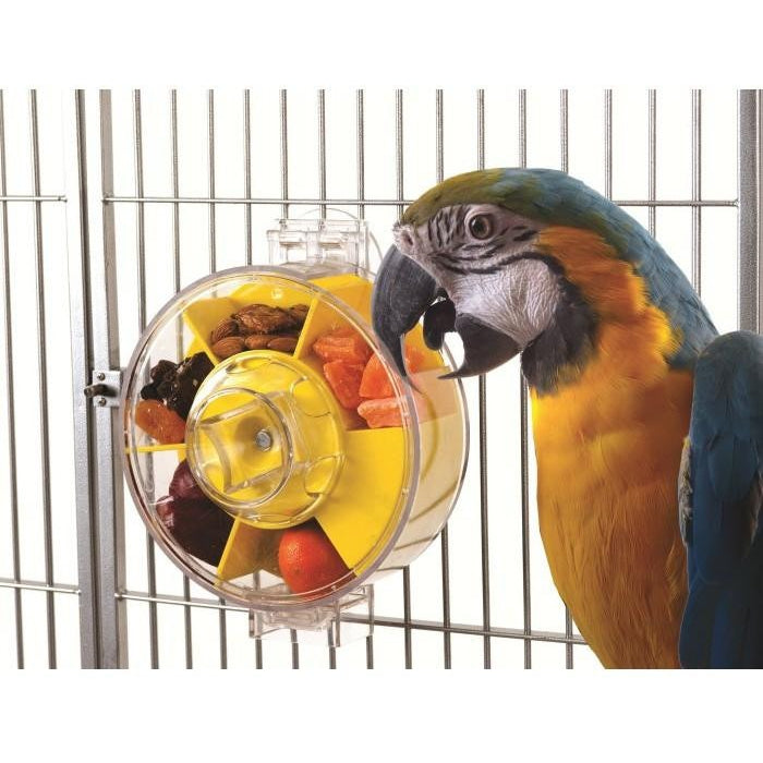 Creative Foraging Generation 2 Large Wheel-PARROTBOX PET SUPPLIES