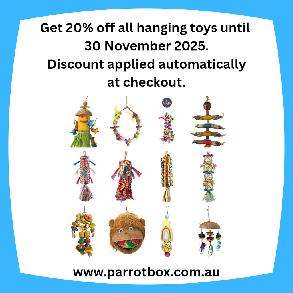 Get 20% off all Hanging Bird Toys until 30 November 2025!