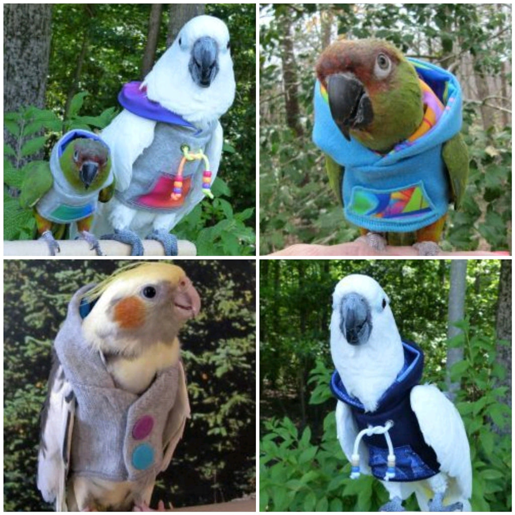 End of Winter Sale - Get 10% off all Avian Fashion Hoodies!!!