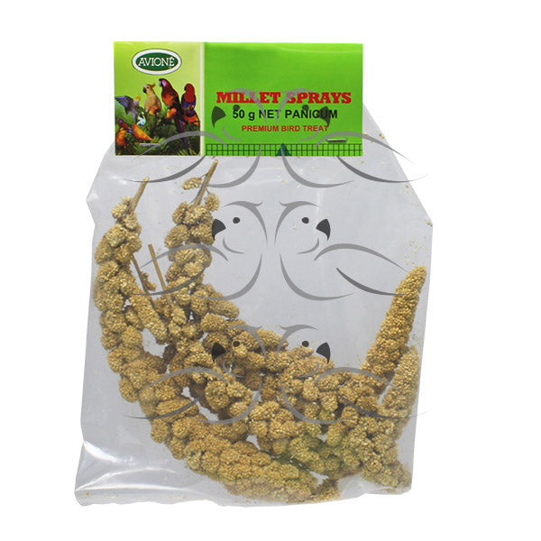 Millet for Pet Birds