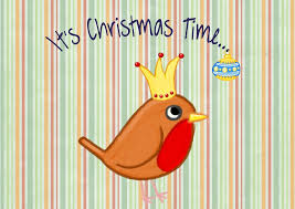 Don't forget your birds this Christmas!!