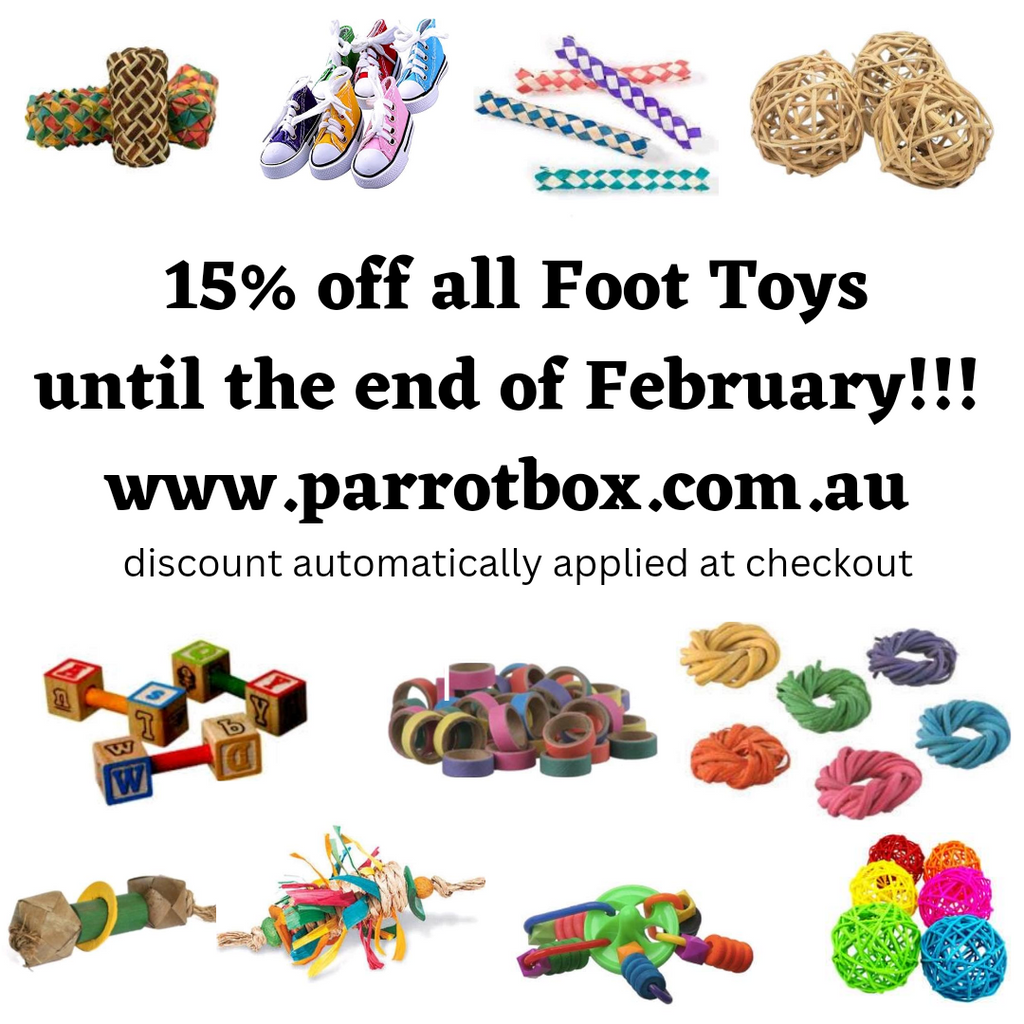 15% off all Foot Toys until the end of February!!!
