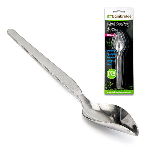 Bird Feeding Spoon Small