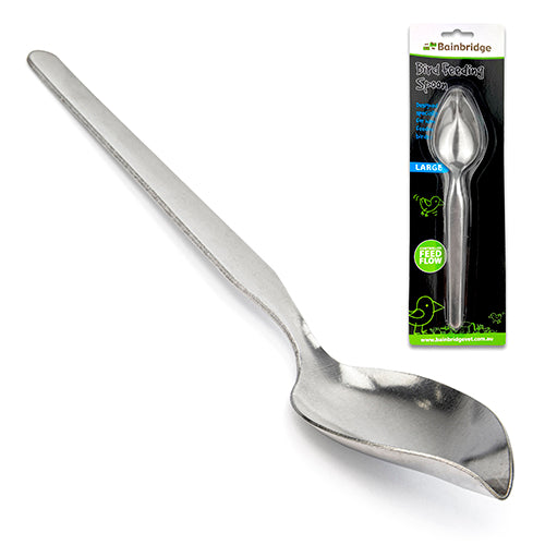 Bird Feeding Spoon Large