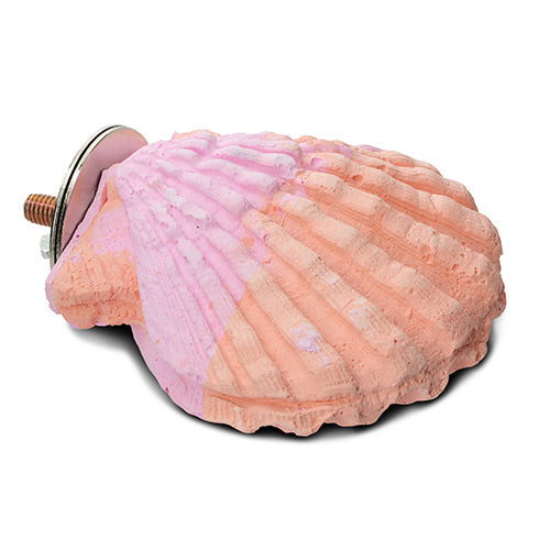 Clam Shell Calcium Bird Perch