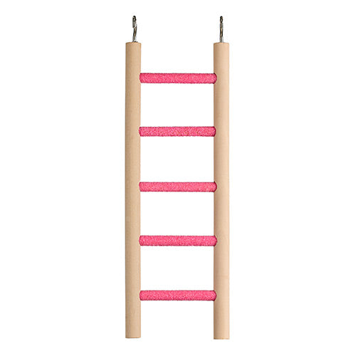 Bird Ladder Cement Grit - 5 Step