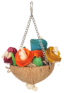 Coconut Flower Pot