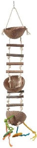 bird ladder made with half coconut shells