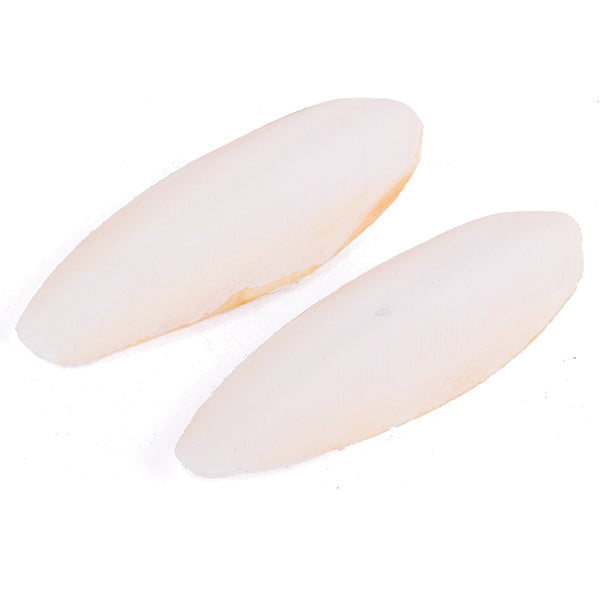 Cuttlebone Natural - Medium 2 Pack