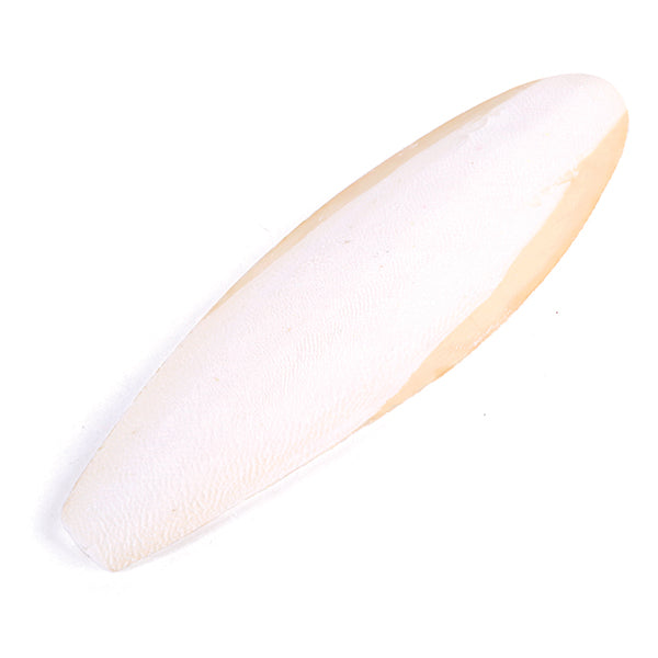 Cuttlebone Natural - Large Single Pack