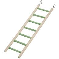 cement grit ladder parrotbox