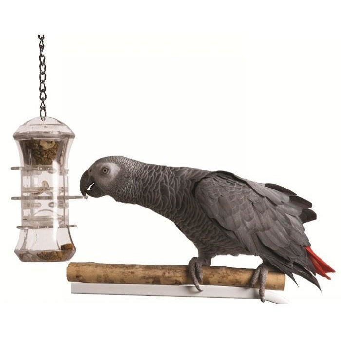 Parrot toy push and pull, parrotbox pet supplies