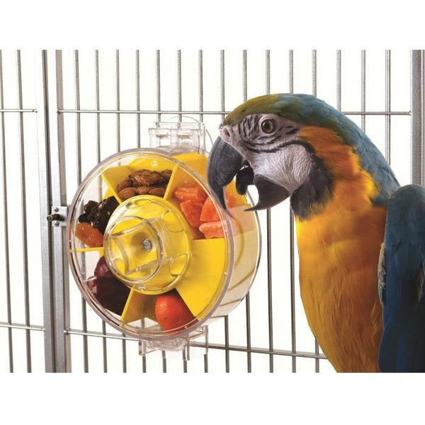 Creative Foraging Generation 2 Large Wheel-PARROTBOX PET SUPPLIES