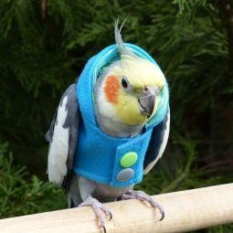 Avian Fashions Hoodie - Aqua Yoga-PARROTBOX PET SUPPLIES