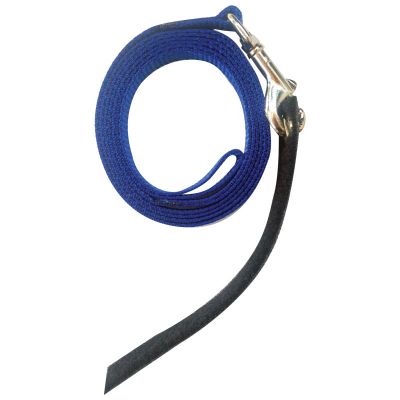 Avian Fashions Anchor Line - Royal Blue-PARROTBOX PET SUPPLIES
