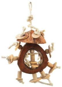 coconut hanging bird toy