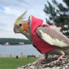 Avian Fashions Hoodie - Summer Crush