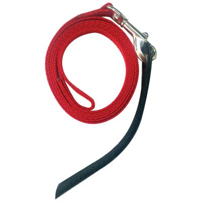 Avian Fashions Anchor Line - Red-PARROTBOX PET SUPPLIES