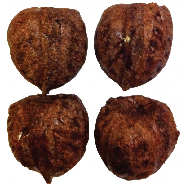 Nibblers Walnuts 4 pack