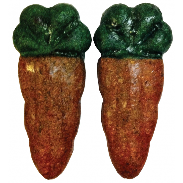 Nibblers Carrots 2 pack