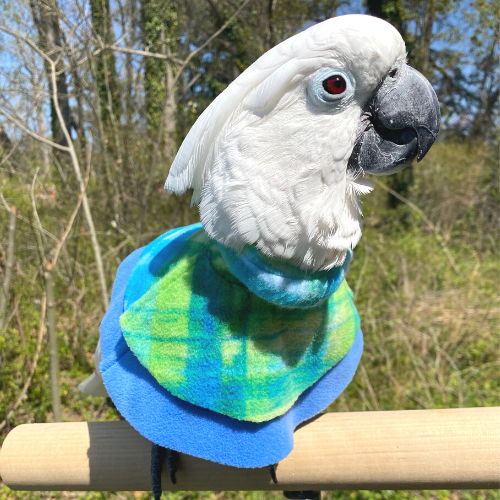 Avian Fashions Poncho - Limited Edition "SPRING"