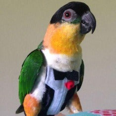 Avian Fashions Flight Suit - Tux with Tails-PARROTBOX PET SUPPLIES