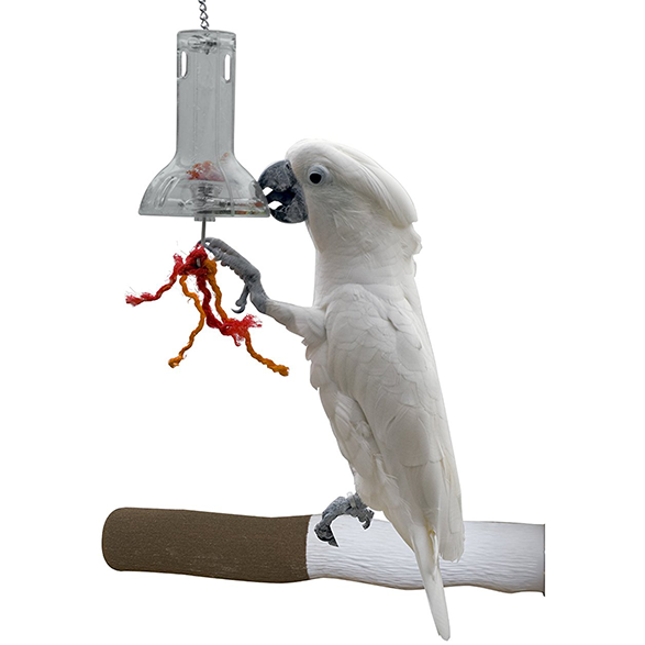 Creative foraging capsule for parrots, parrotbox pet supplies