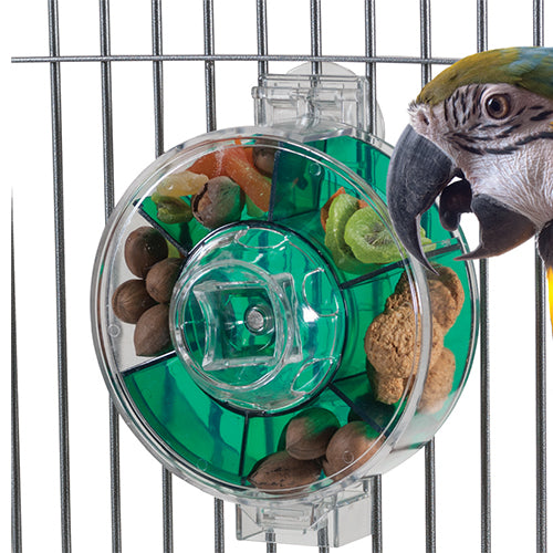 caitec giant foraging wheel for birds, parrotbox foraging toys