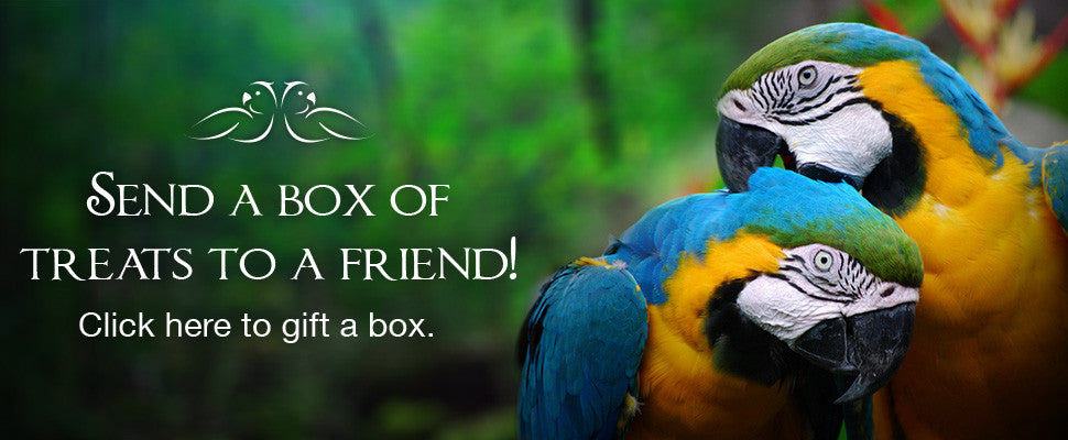 Gift a box of parrot treats to a friend! Click here to get started.